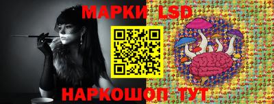 дмт Новодвинск