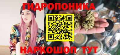 дмт Новодвинск