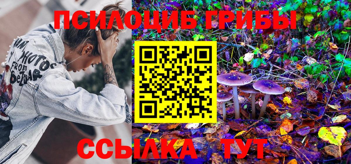 Псилоцибиновые грибы Cubensis  Вход с VPN  Углич  Галлюциногенные грибы Magic Shrooms 